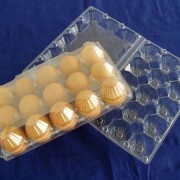 石家莊正達塑料制品廠_養(yǎng)雞網(wǎng)