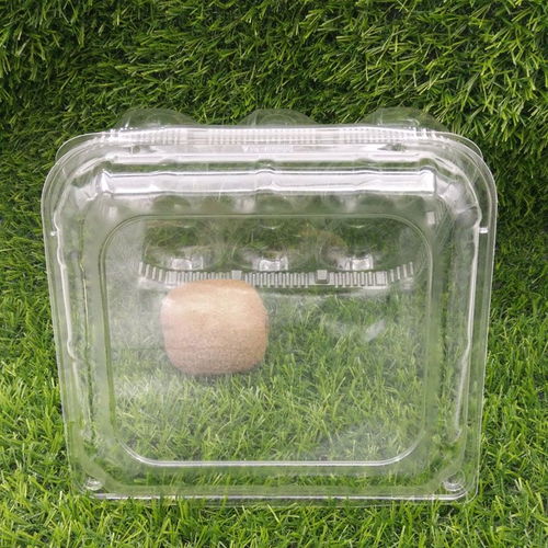 武漢吸塑包裝廠零售易供應專業(yè)定做優(yōu)質(zhì)六個裝奇異果 獼猴桃 對折產(chǎn)品吸塑包裝盒子